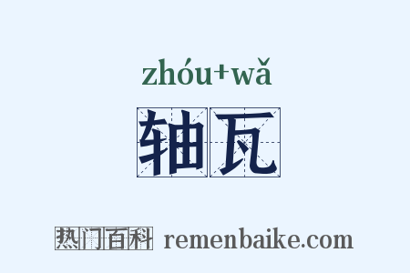 轴瓦是什么意思的图片